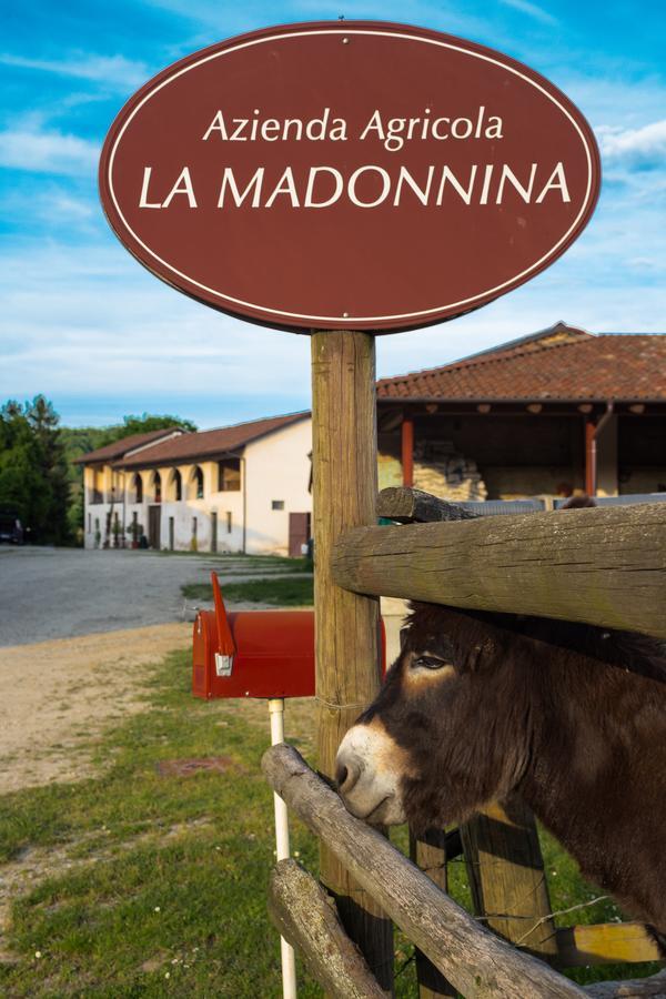 La Madonnina Agriturismo Dore Alba  Buitenkant foto